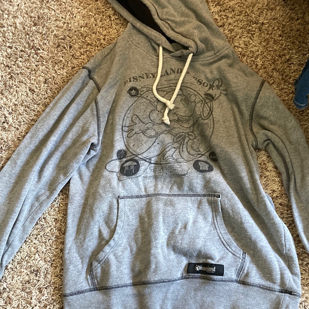 Disney parks hoodie